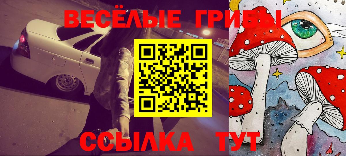 Семёнов  Псилоцибиновые грибы GOLDEN TEACHER  Вход с VPN 